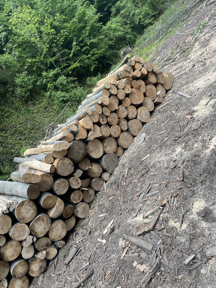 ‼️Lemne de foc esențe tarii[Fag,Gorun,Carpen,Cer]