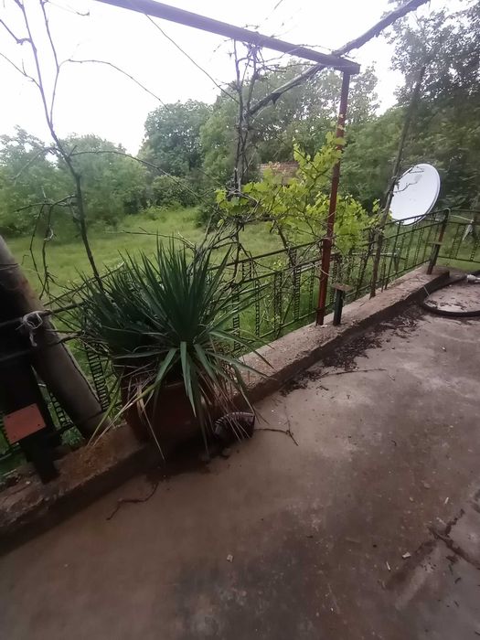 Продава се Къща в с. Гривица, Област Плевен - 50 кв.м за 204 €/кв.м - Снимка #1