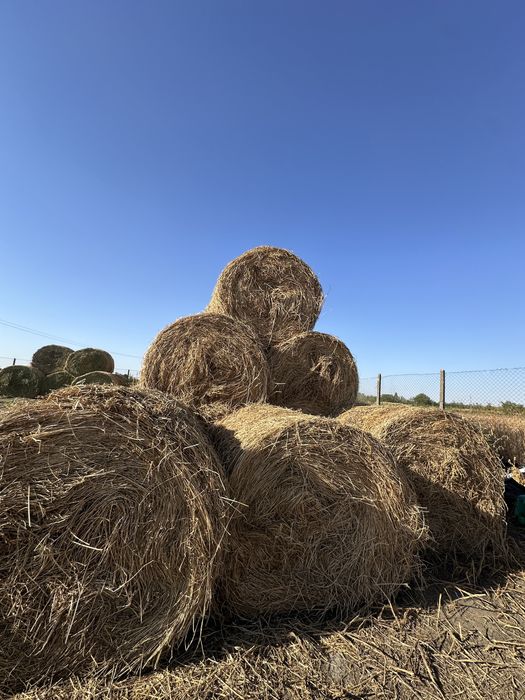 Baloți   lucernă de vânzare
