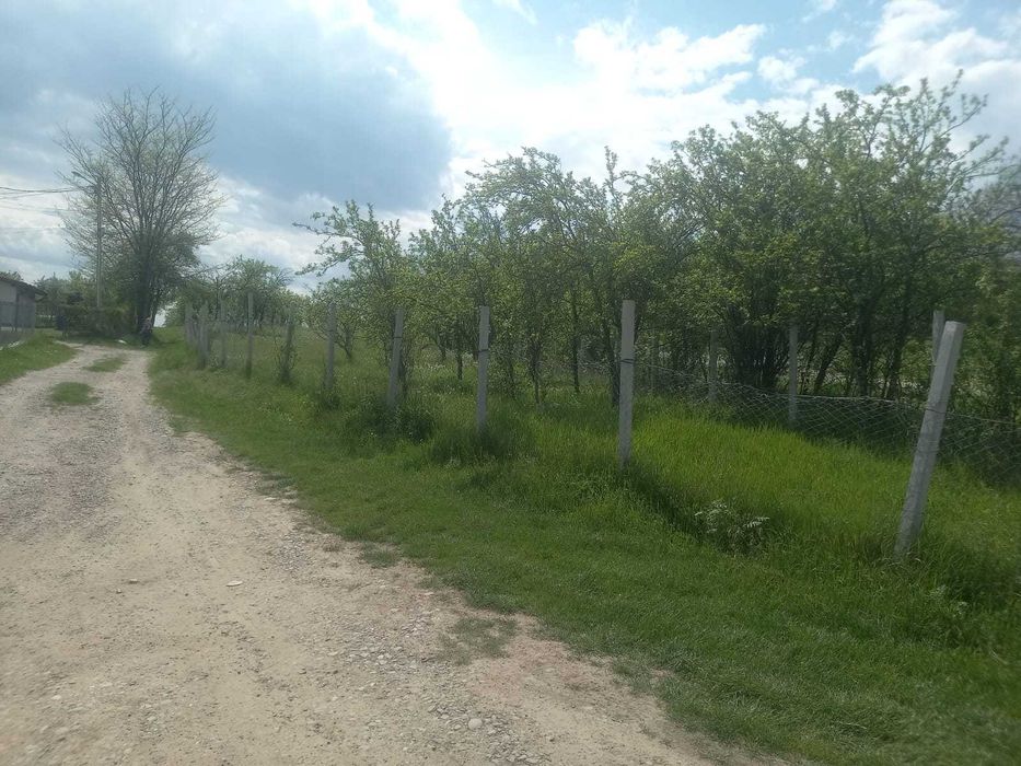 Teren intravilan 1700 mp - Drajna de Jos, Poiana Mierlei – 15€/mp, neg