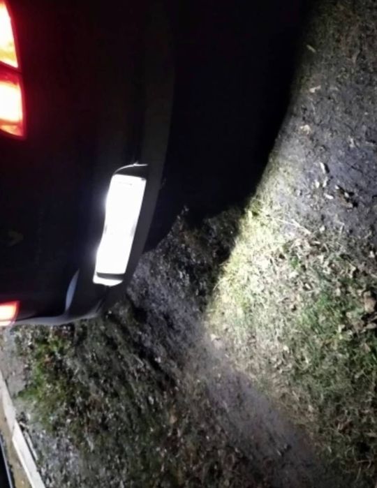 Lampi LED numar dedicate Canbus Clio Logan 2 Megane Twingo Master