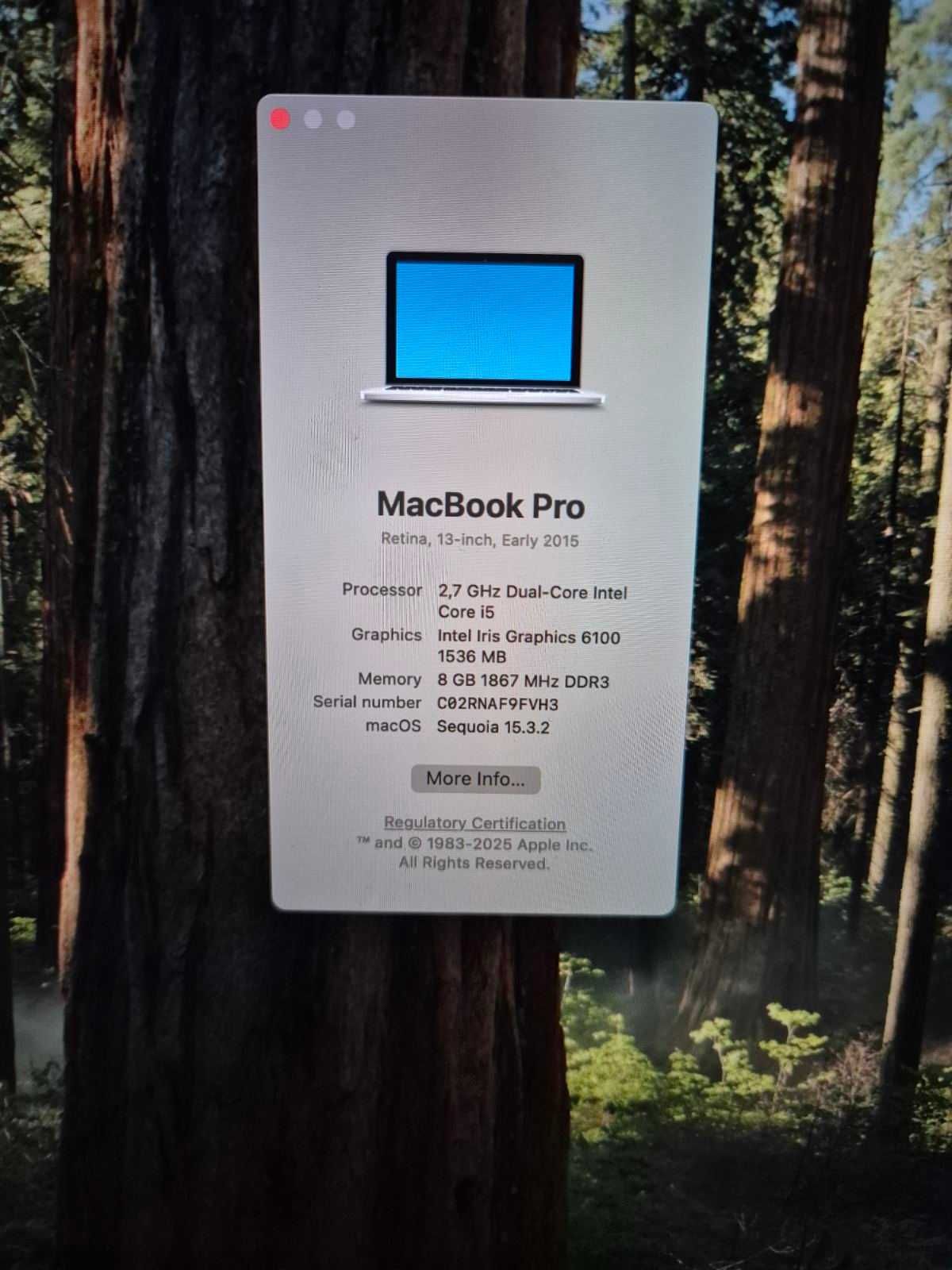 Macbook A1502 (2015) 8gb Ram