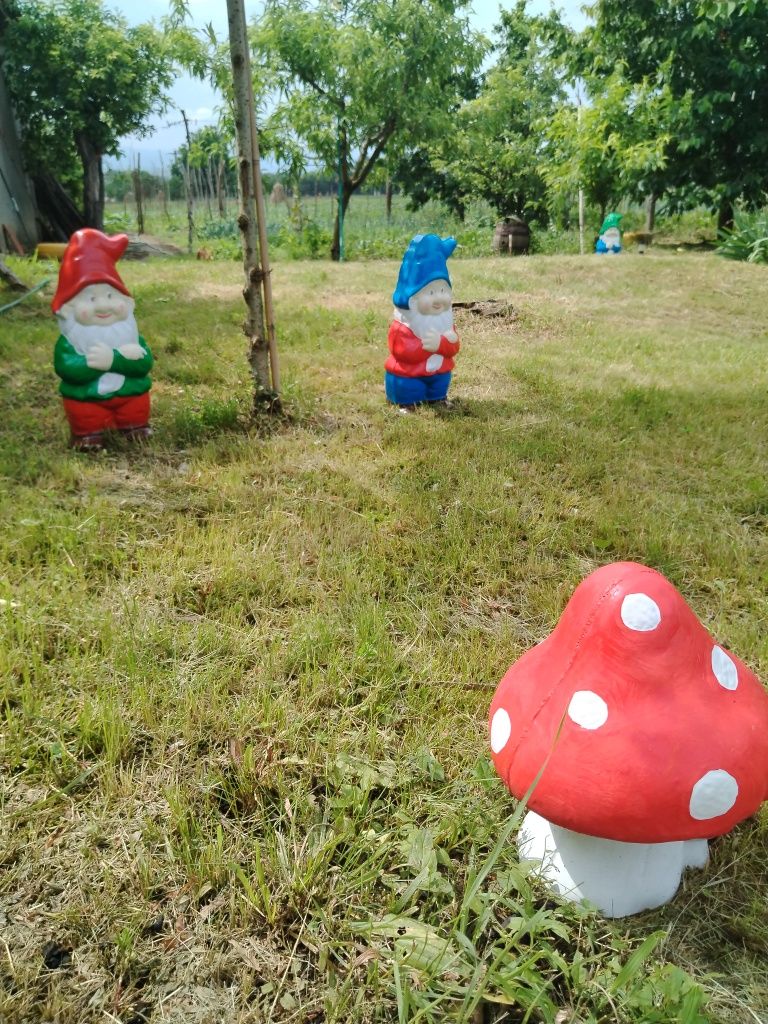 Pitici si ciuperci de grădină