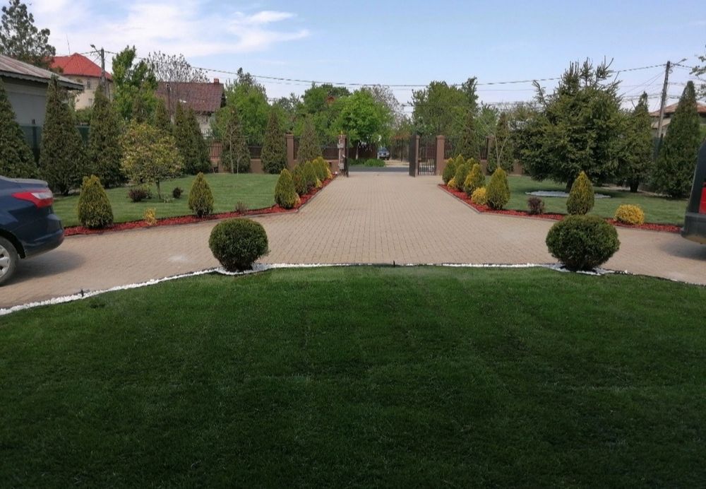 Gazon rulou 24 de lei m2 transport, montaj inclus, sisteme de irigare