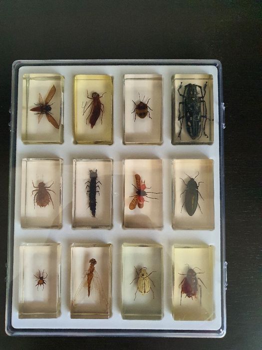 Colectia De la Deagostini