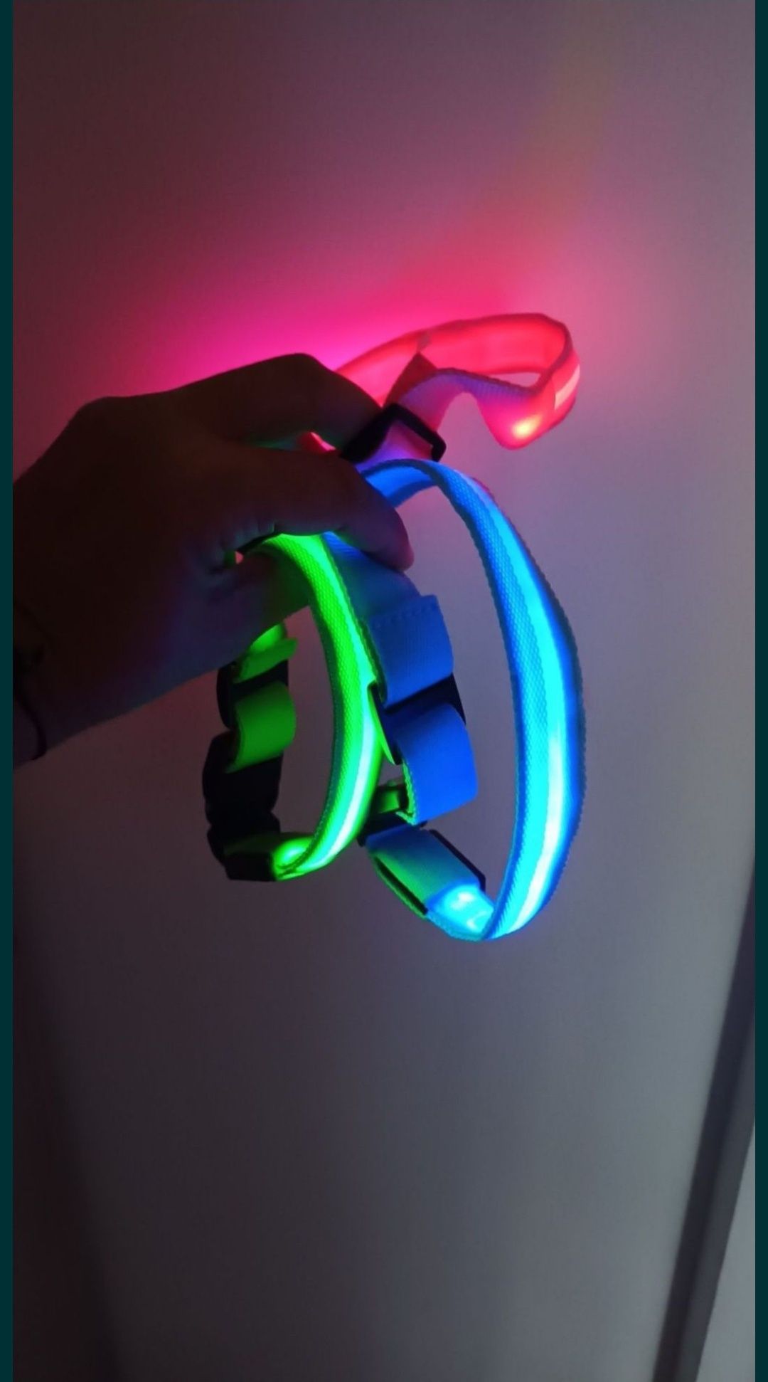 zgarda pentru câini luminoasa