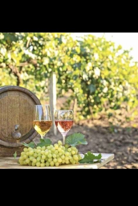Vindem struguri de vin transportate la lădițe  la domiciliu  mulțumesk