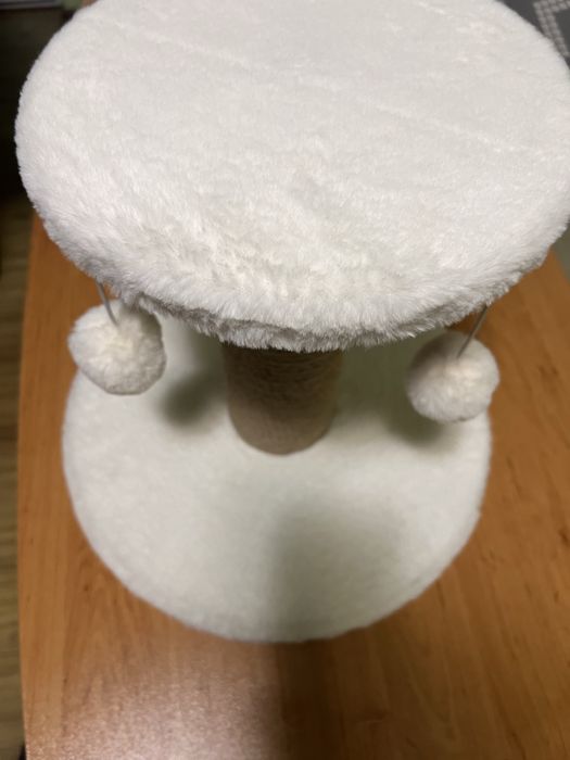 Котешка драскалка