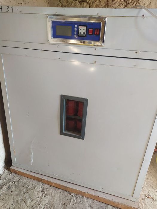 Inkubator foydalanishga tayyor