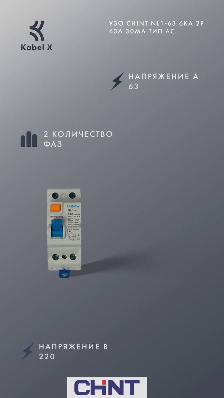 Авто выключатель УЗО CHINT NL1-63 6KA 2P 63A 30MA ТИП АС
