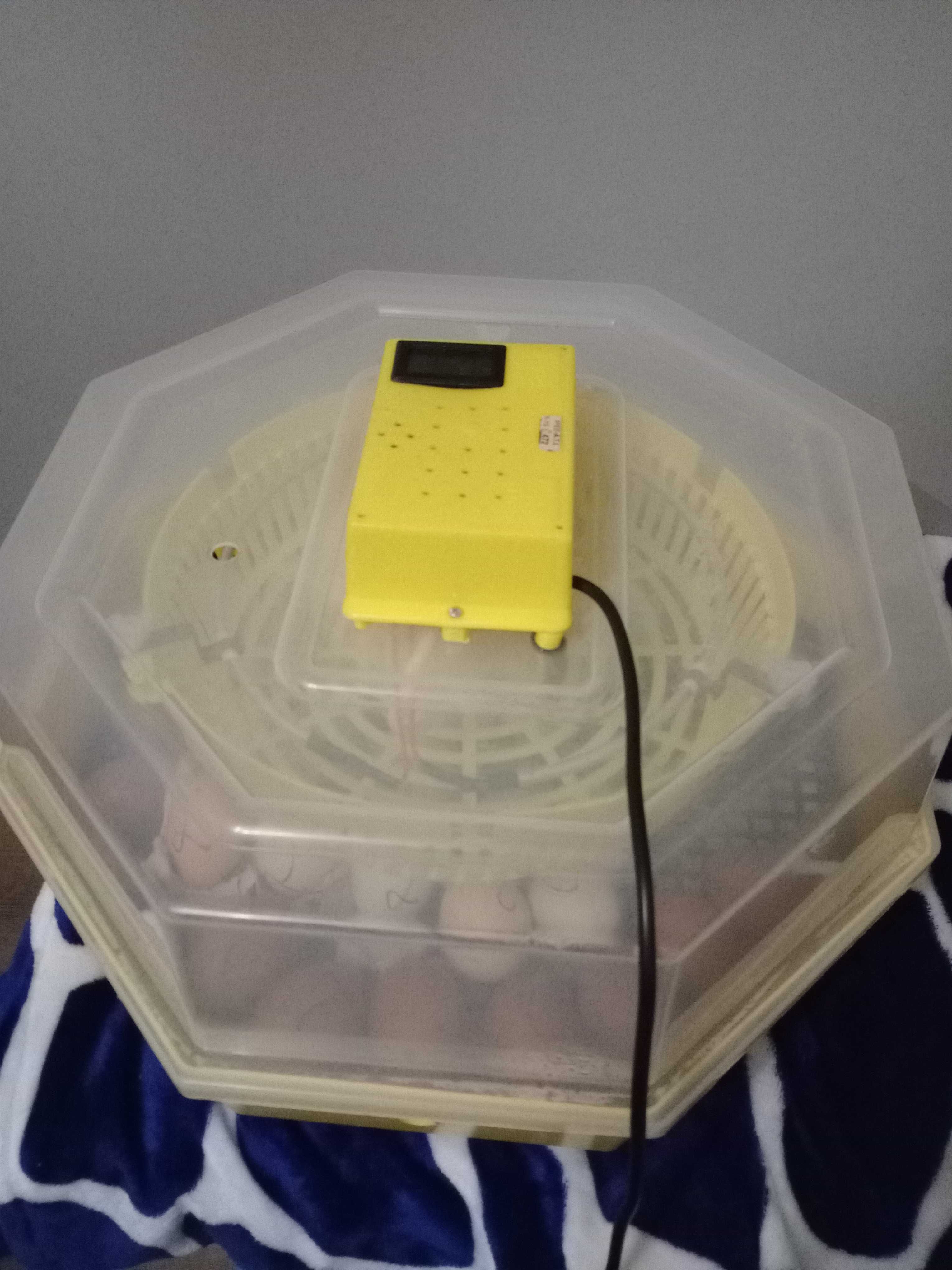 Vând Incubator (clocitoare) electric pentru ouă