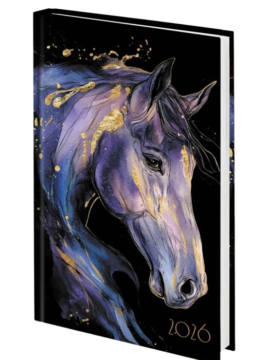 Ежедневники разные датированные и недатированные размеры