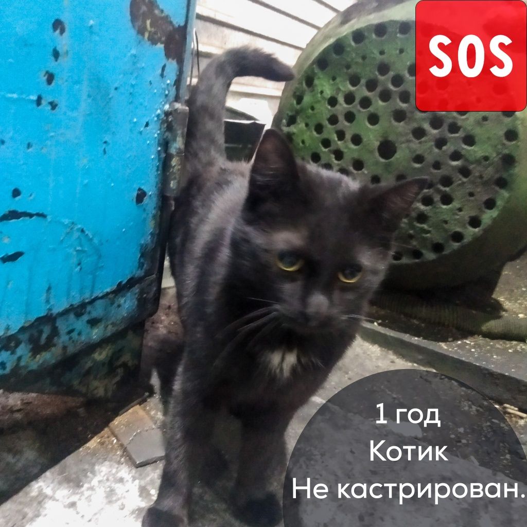 SOS Нужна помощь.