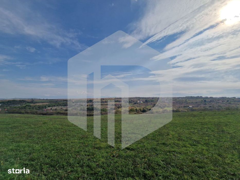 Teren de vanzare - 1500 mp - Daia Noua