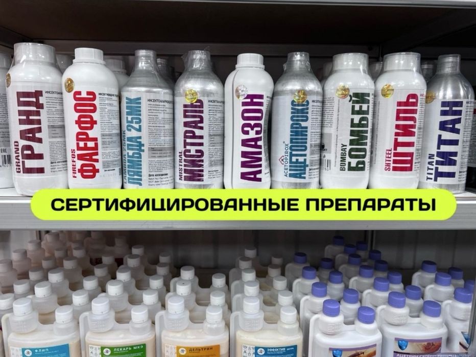 Уничтожение клопов и грызунов и.т.д