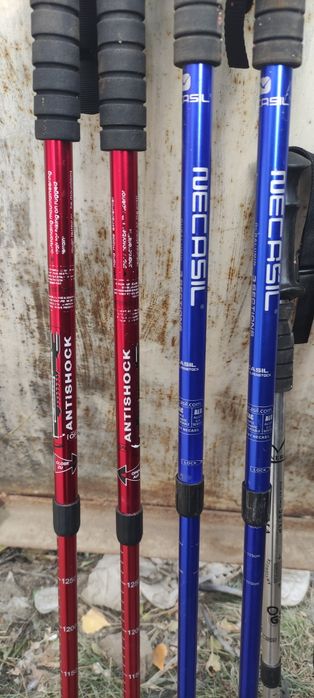 Скандинавские палки