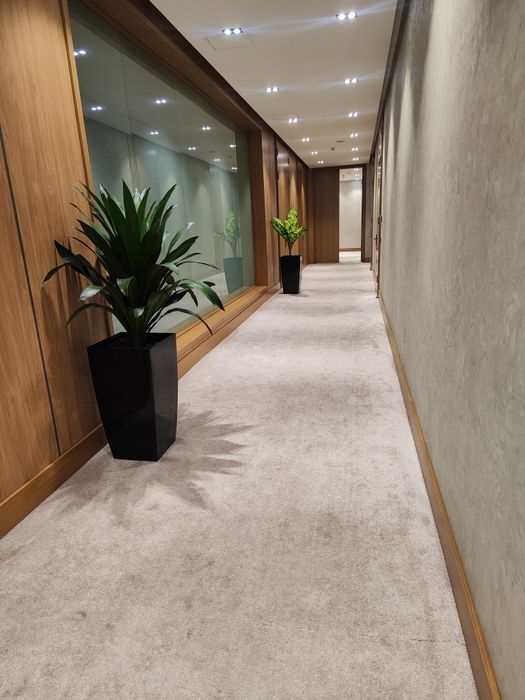 Уход за растениями