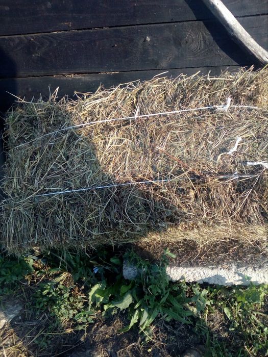 Vând baloți dreptunghiulari lucernă și paie,rotunzi