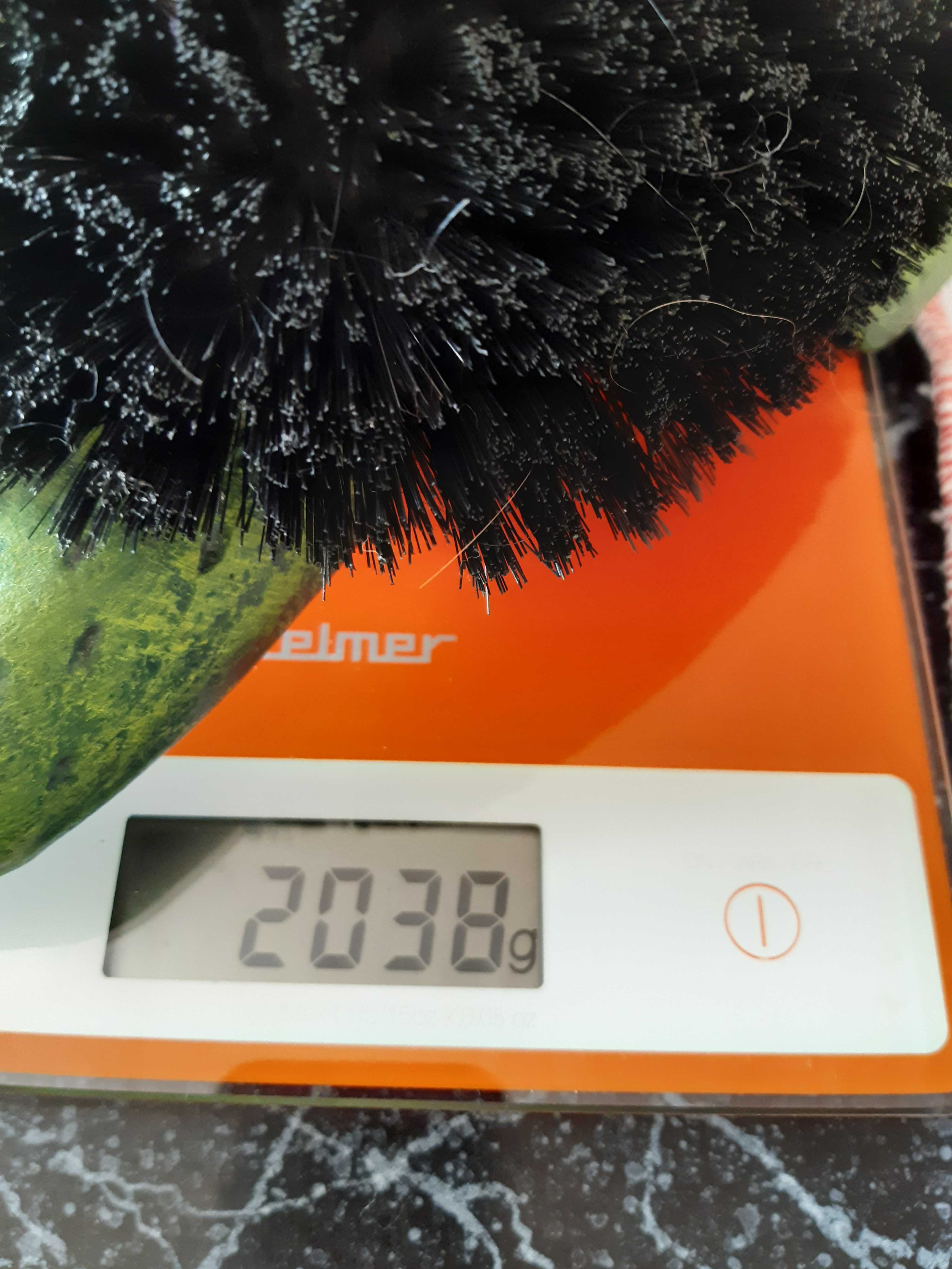 Broasca verdedin fonta, stergator pantofi cu perie, lung 32cm si 2kg