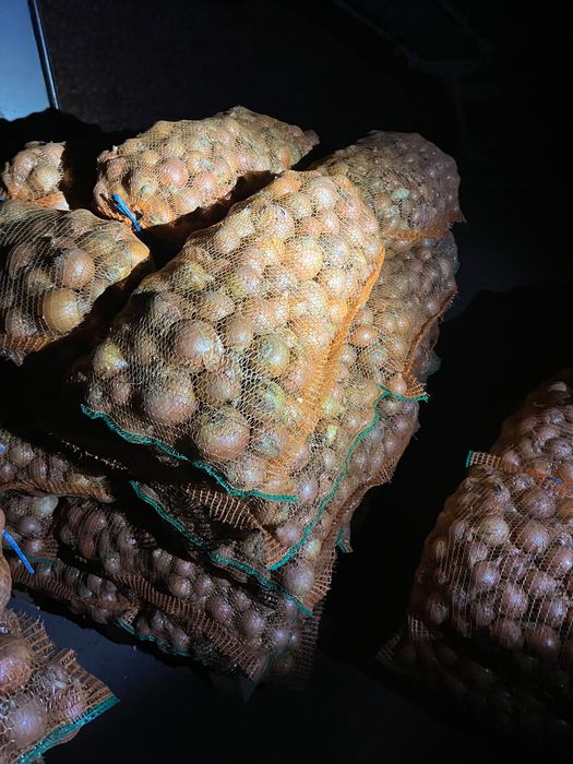 Ceapa rotunda diamant