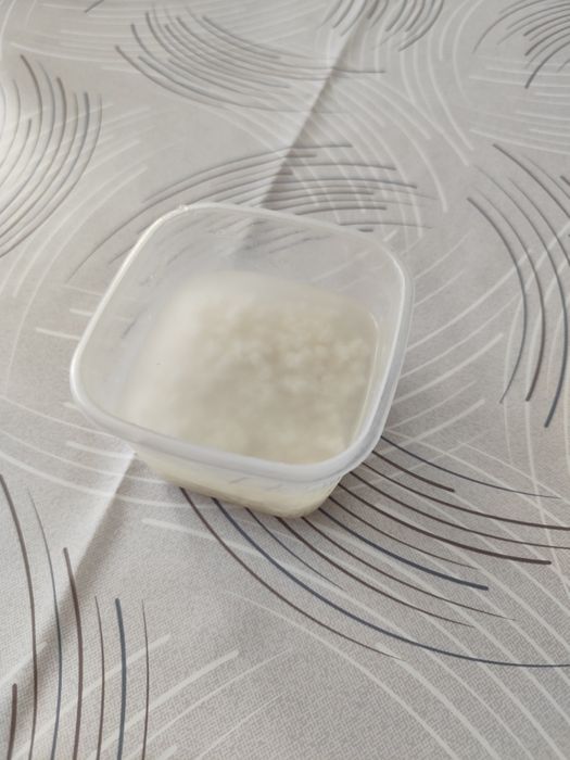 Ciupercă de kefir tibetian