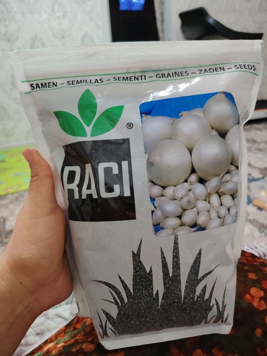 Семена лука стардаст