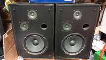 Boxe audio de raft