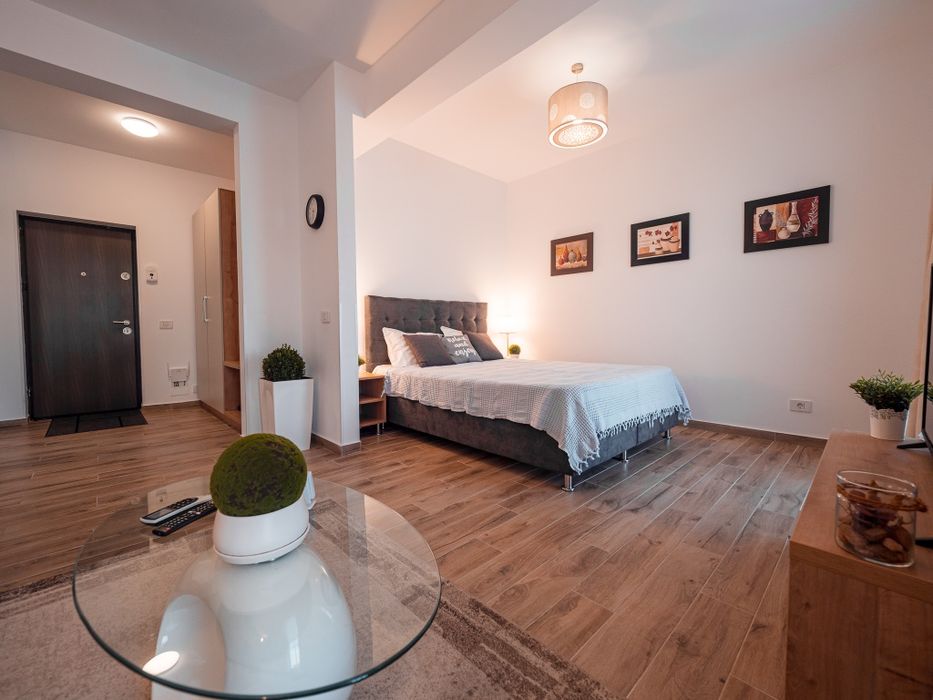 Inchiriere garsoniera pentru Amethyst