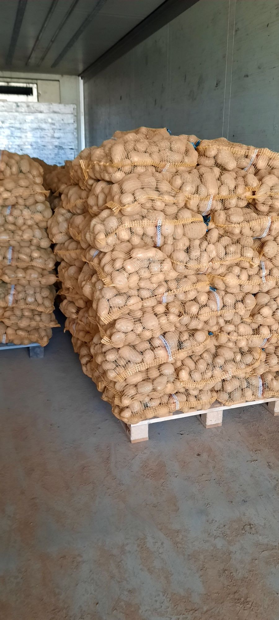 Vand cartofi inport poloia cantități mari