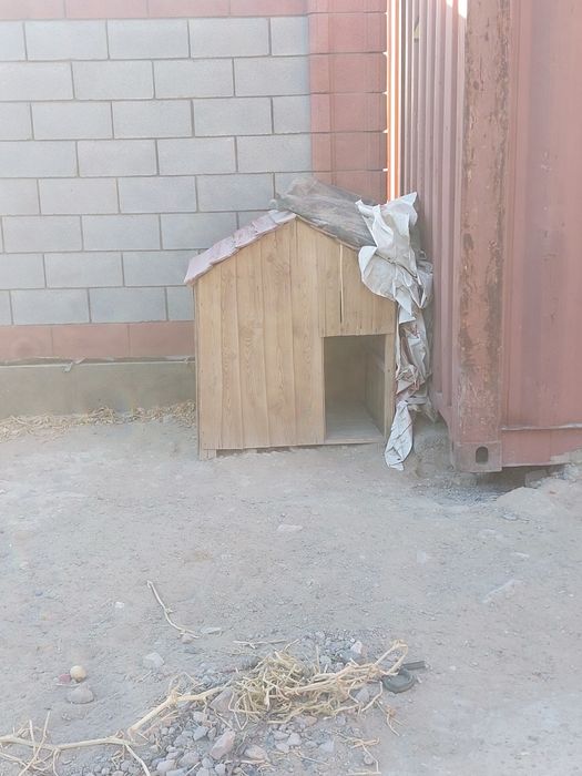 Домик сатылады  итке