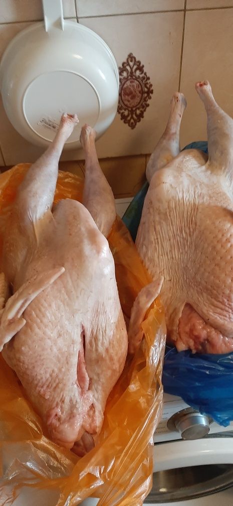 Продам мясо индюков