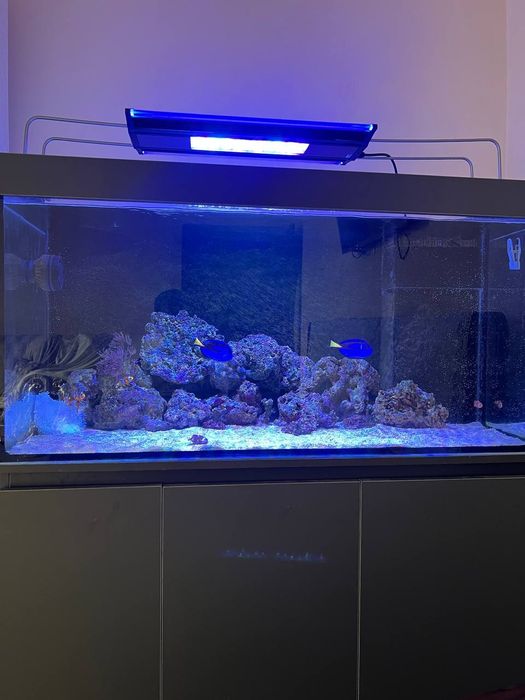 Продам морской аквариум 280 литр
