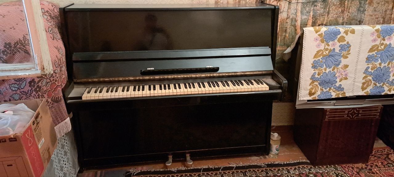 Pianina sotiladi