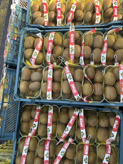 Киви Иран цитрус оптом с доставкой по городу