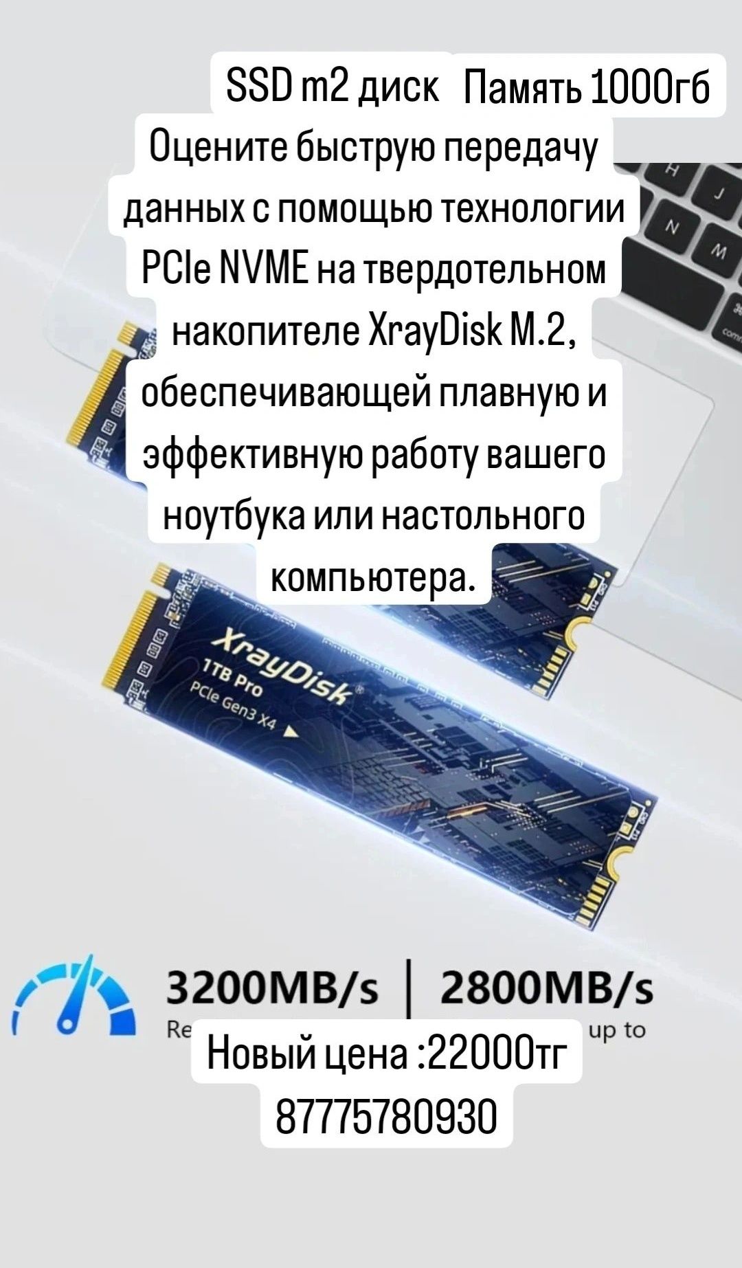 SSD 1000gb xraydisk