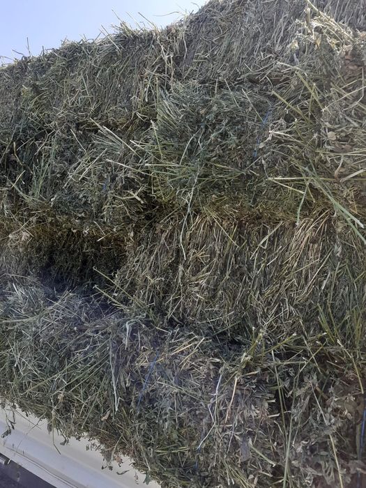 Baloți lucerna și otava