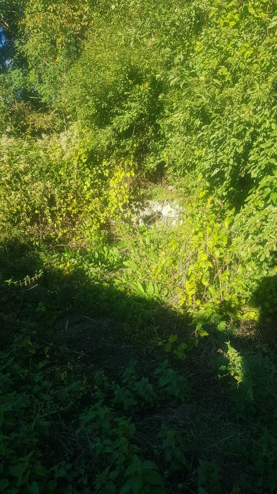 Продава къща в с.Паничарево обл.Кюстендил