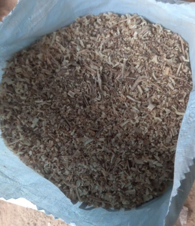 Apilka bor qopi 16 mindan toza apilka chinor yongʻoq