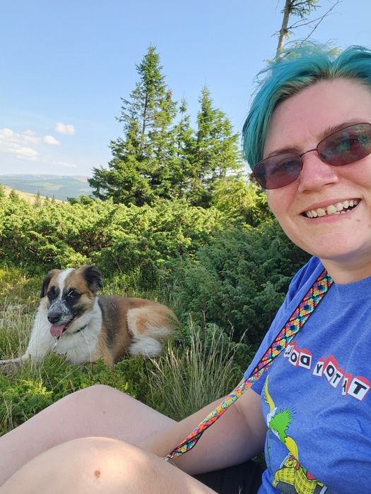 Plimb câini Tractoru (BV)