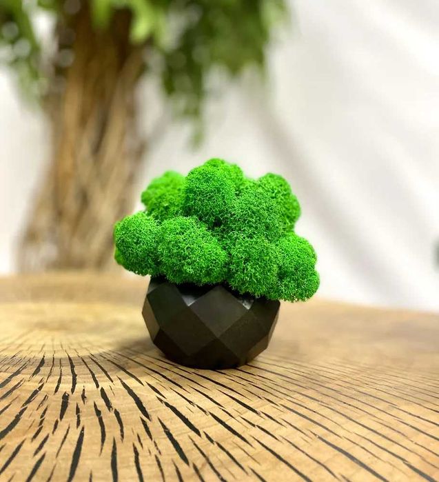 Кашпо для декора