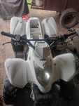 ATV 125 cm Și 2 Motoare De Scuter