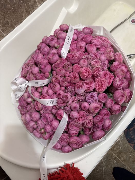 срочно сатам пионы от дессо, дессо қазір 161к тұрады мен 80-100к сатам