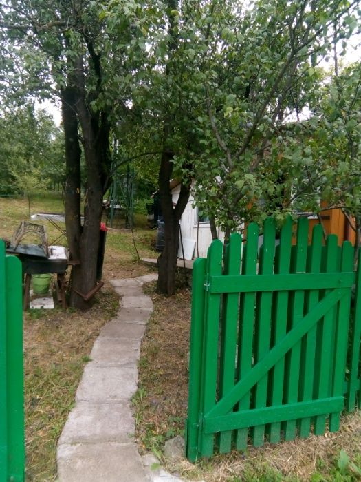 livada de pruni cu constructie in salaj