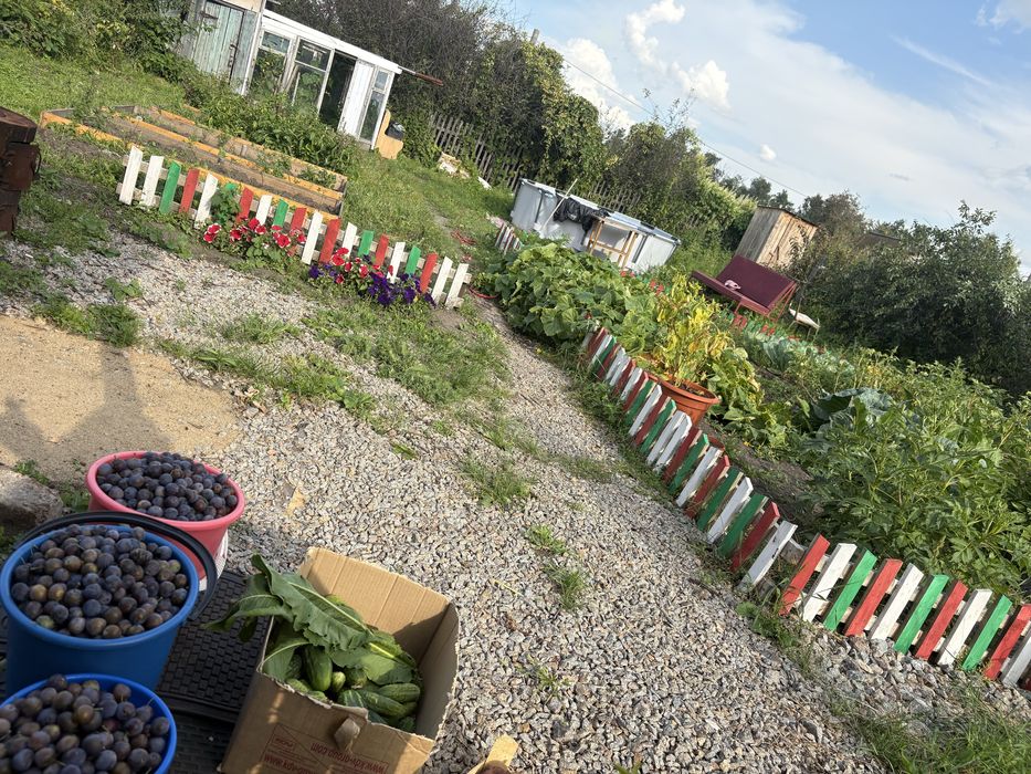 Дачный дом,дача сад огород