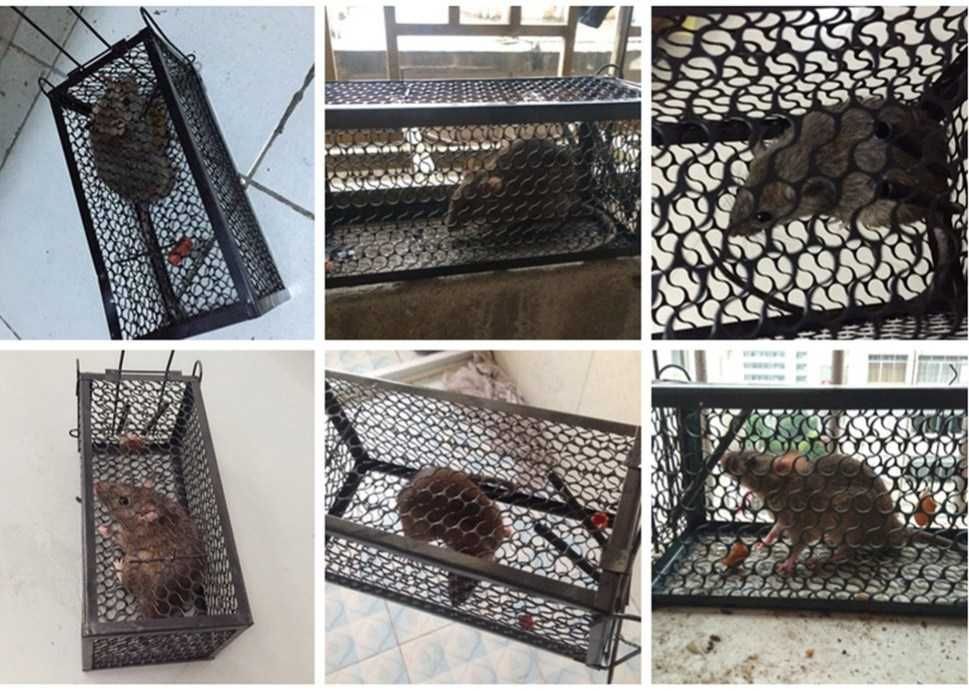 Cursa sobolani fara otrava! Se prind vii. Reutilizabila. Produs nou !