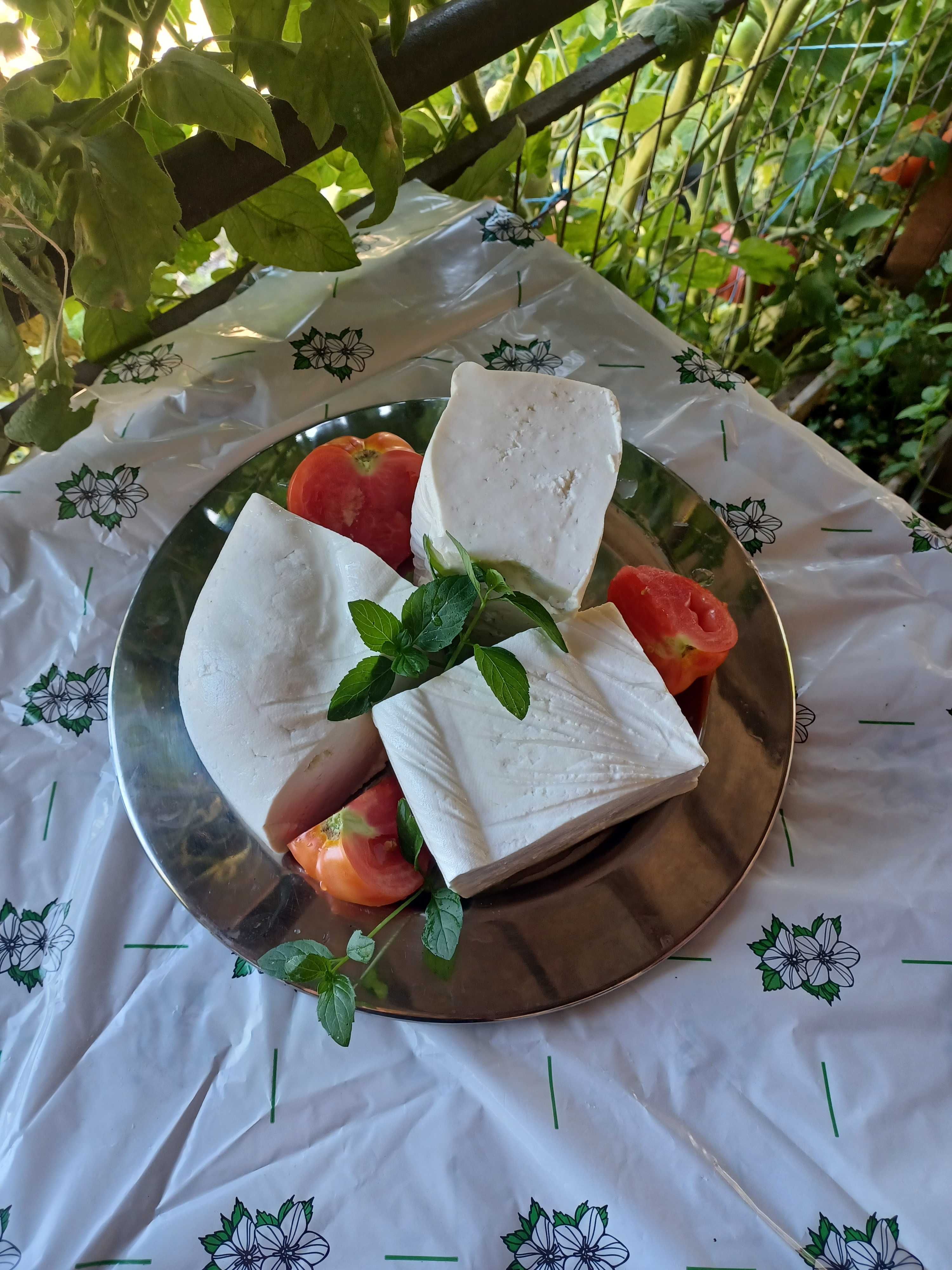 козе сирене и мляко