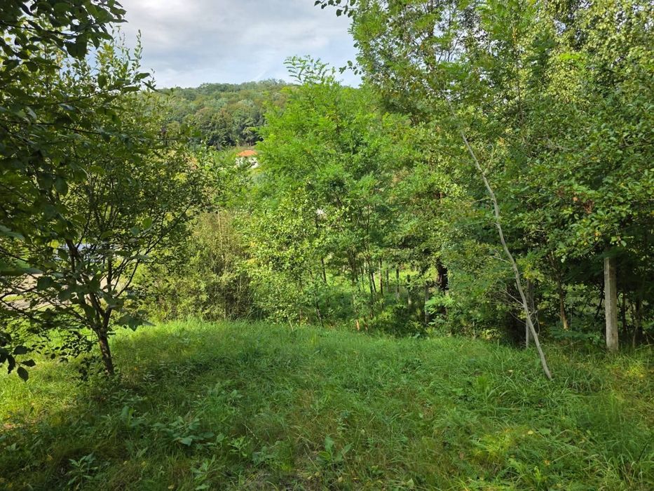 Vând teren Cluj - Feleacu - Valea Caprioarei