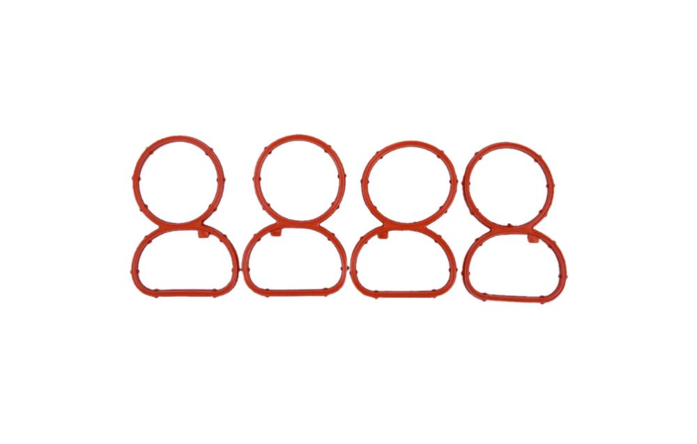 Set garnituri galerie admisie BMW cod motor N47