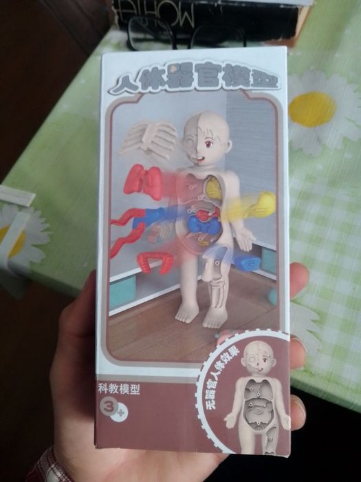 Детска играчка човешко тяло