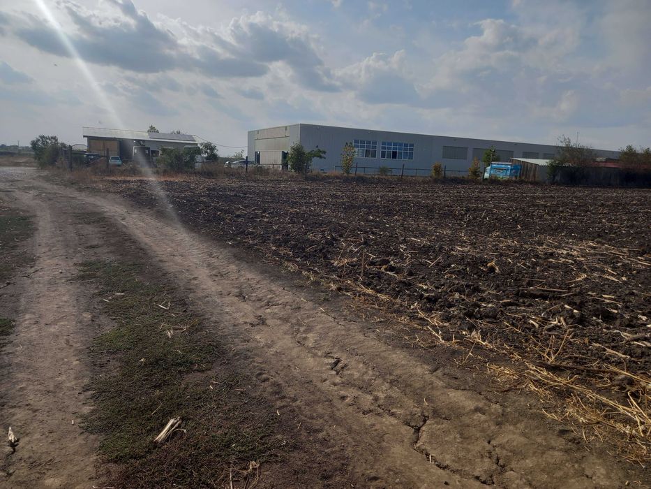 Teren extravilan Dascalu, 10.000 mp